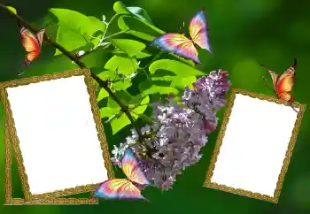 Fotoeffekt aus der Kategorie Sommer № 81627 Fotoeffekt aus der Kategorie Sommer № 81627