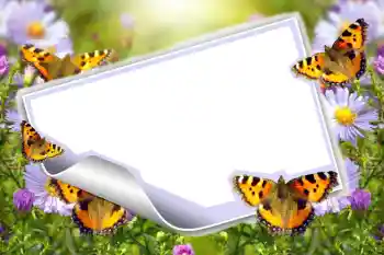 Fotoeffekt aus der Kategorie Sommer № 83943 Fotoeffekt aus der Kategorie Sommer № 83943