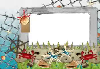 Fotoeffekt aus der Kategorie Sommer № 85339 Fotoeffekt aus der Kategorie Sommer № 85339