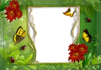 Fotoeffekt aus der Kategorie Sommer № 8625