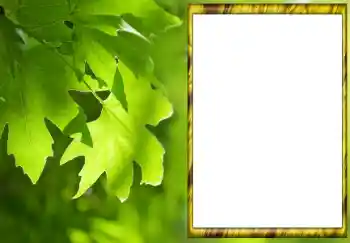 Fotoeffekt aus der Kategorie Sommer № 88033 Fotoeffekt aus der Kategorie Sommer № 88033