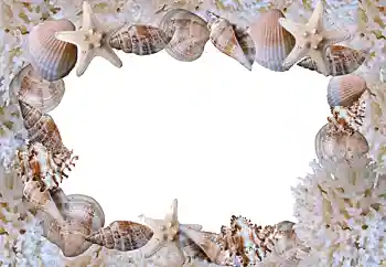 Fotoeffekt aus der Kategorie Sommer № 88088 Fotoeffekt aus der Kategorie Sommer № 88088