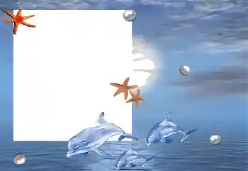 Fotoeffekt aus der Kategorie Sommer № 88120 Fotoeffekt aus der Kategorie Sommer № 88120