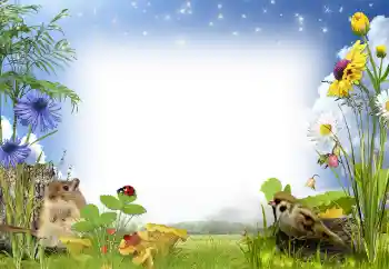 Fotoeffekt aus der Kategorie Sommer № 97486 Fotoeffekt aus der Kategorie Sommer № 97486