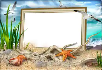 Fotoeffekt aus der Kategorie Sommer № 97613 Fotoeffekt aus der Kategorie Sommer № 97613