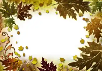 Fotoeffekt aus der Kategorie Herbst № 101278