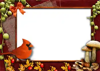 Fotoeffekt aus der Kategorie Herbst № 1013 Fotoeffekt aus der Kategorie Herbst № 1013