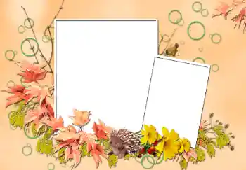 Fotoeffekt aus der Kategorie Herbst № 103852