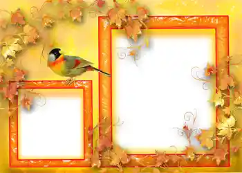 Fotoeffekt aus der Kategorie Herbst № 1124 Fotoeffekt aus der Kategorie Herbst № 1124