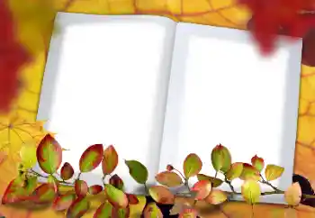 Fotoeffekt aus der Kategorie Herbst № 114578