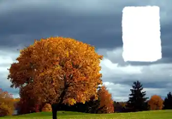 Fotoeffekt aus der Kategorie Herbst № 125889