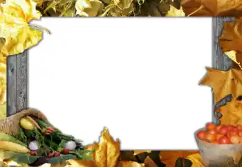 Fotoeffekt aus der Kategorie Herbst № 127051