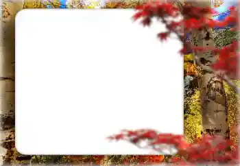 Fotoeffekt aus der Kategorie Herbst № 127331