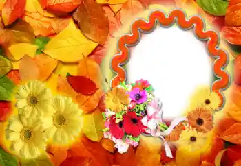 Fotoeffekt aus der Kategorie Herbst № 142255