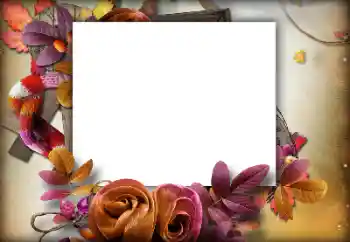 Fotoeffekt aus der Kategorie Herbst № 142460