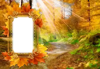 Fotoeffekt aus der Kategorie Herbst № 142463