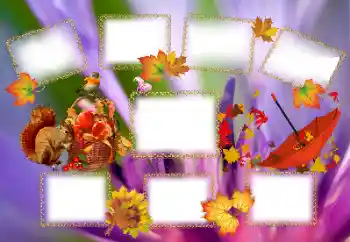 Fotoeffekt aus der Kategorie Herbst № 143637