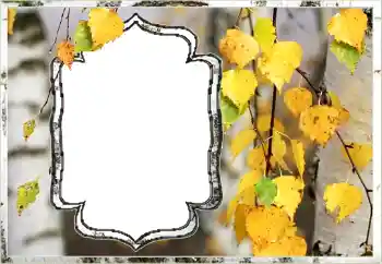 Fotoeffekt aus der Kategorie Herbst № 144851