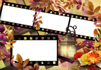 Fotoeffekt aus der Kategorie Herbst № 144966