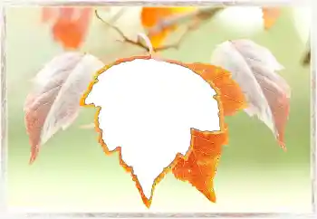 Fotoeffekt aus der Kategorie Herbst № 145072