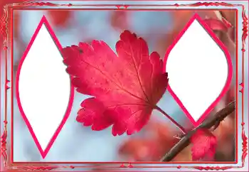 Fotoeffekt aus der Kategorie Herbst № 145078