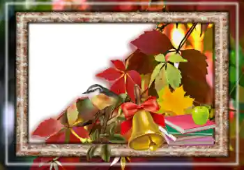 Fotoeffekt aus der Kategorie Herbst № 157063