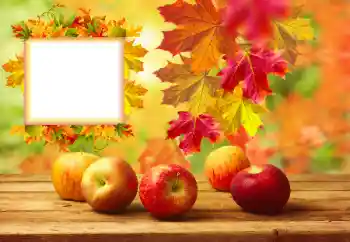 Fotoeffekt aus der Kategorie Herbst № 157134