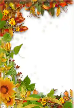 Fotoeffekt aus der Kategorie Herbst № 157238