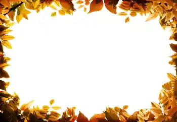 Fotoeffekt aus der Kategorie Herbst № 158309