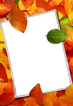 Fotoeffekt aus der Kategorie Herbst № 159508