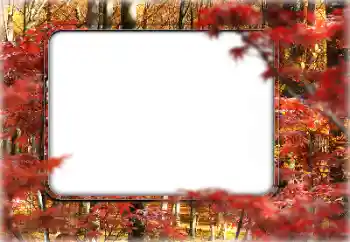 Fotoeffekt aus der Kategorie Herbst № 160546 Fotoeffekt aus der Kategorie Herbst № 160546