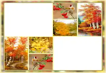 Fotoeffekt aus der Kategorie Herbst № 160654 Fotoeffekt aus der Kategorie Herbst № 160654