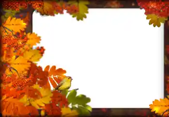 Fotoeffekt aus der Kategorie Herbst № 160787