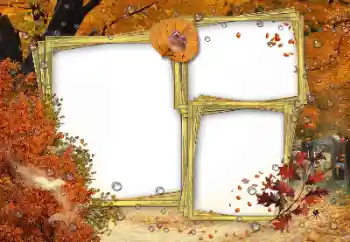 Fotoeffekt aus der Kategorie Herbst № 162180