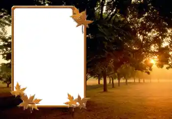 Fotoeffekt aus der Kategorie Herbst № 166423