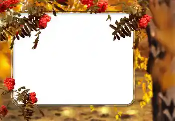 Fotoeffekt aus der Kategorie Herbst № 166546