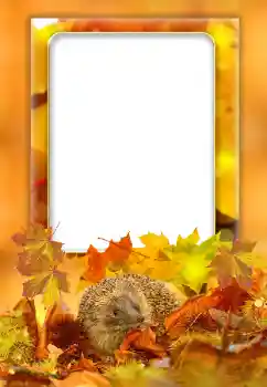 Fotoeffekt aus der Kategorie Herbst № 168000