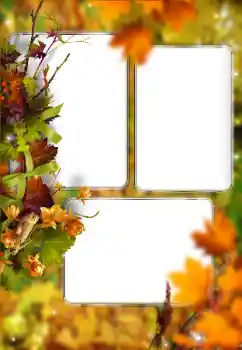 Fotoeffekt aus der Kategorie Herbst № 176614 Fotoeffekt aus der Kategorie Herbst № 176614