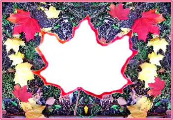 Fotoeffekt aus der Kategorie Herbst № 190569 Fotoeffekt aus der Kategorie Herbst № 190569