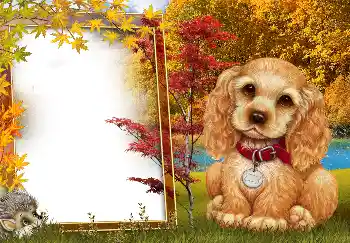 Fotoeffekt aus der Kategorie Herbst № 190594 Fotoeffekt aus der Kategorie Herbst № 190594