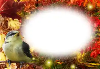 Fotoeffekt aus der Kategorie Herbst № 191761 Fotoeffekt aus der Kategorie Herbst № 191761