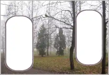 Fotoeffekt aus der Kategorie Herbst № 191770 Fotoeffekt aus der Kategorie Herbst № 191770