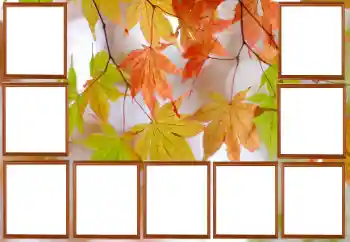 Fotoeffekt aus der Kategorie Herbst № 195267