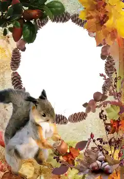 Fotoeffekt aus der Kategorie Herbst № 2011 Fotoeffekt aus der Kategorie Herbst № 2011