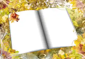 Fotoeffekt aus der Kategorie Herbst № 2016 Fotoeffekt aus der Kategorie Herbst № 2016