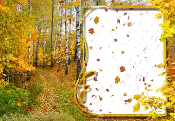 Fotoeffekt aus der Kategorie Herbst № 2029 Fotoeffekt aus der Kategorie Herbst № 2029