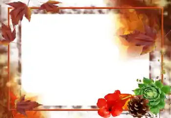 Fotoeffekt aus der Kategorie Herbst № 31707