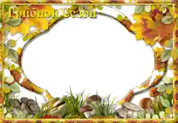 Beschriftung auf dem Rahmen: Грибной Сезон