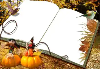 Fotoeffekt aus der Kategorie Herbst № 34030