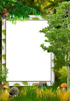 Fotoeffekt aus der Kategorie Herbst № 34731